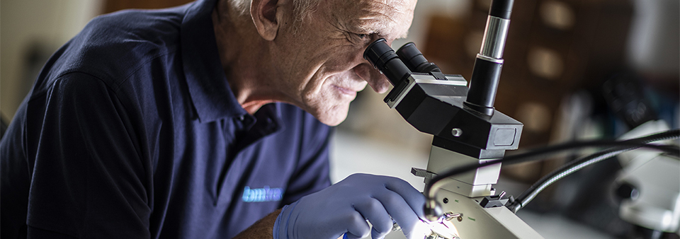 Inpsection services213 960x338