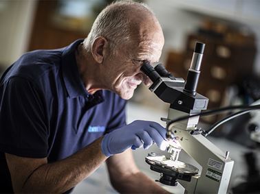 Inspection services 213 640x480