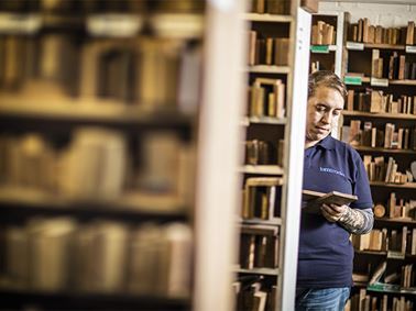 Visual Strength Grading Softwood 640x480